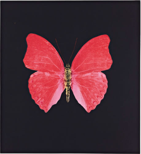 Damien Hirst, Red Butterfly, 2008  | Article on ArtWizard